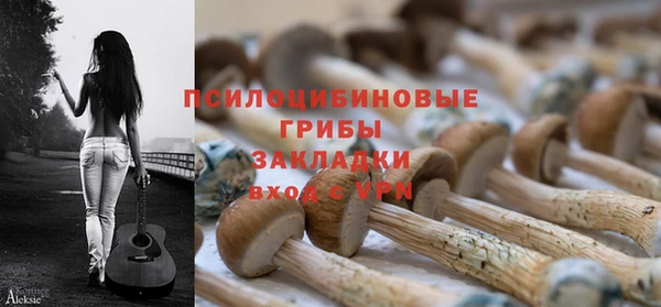 таблы Медвежьегорск