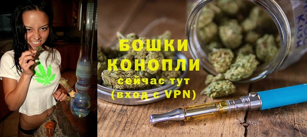 ПСИЛОЦИБИНОВЫЕ ГРИБЫ Медногорск