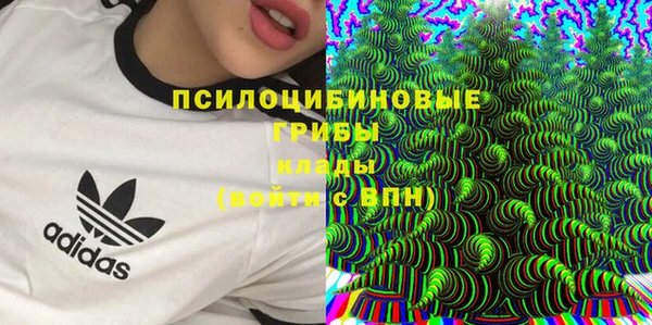 гашик Магас